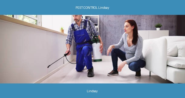 PEST CONTROL Lindsay